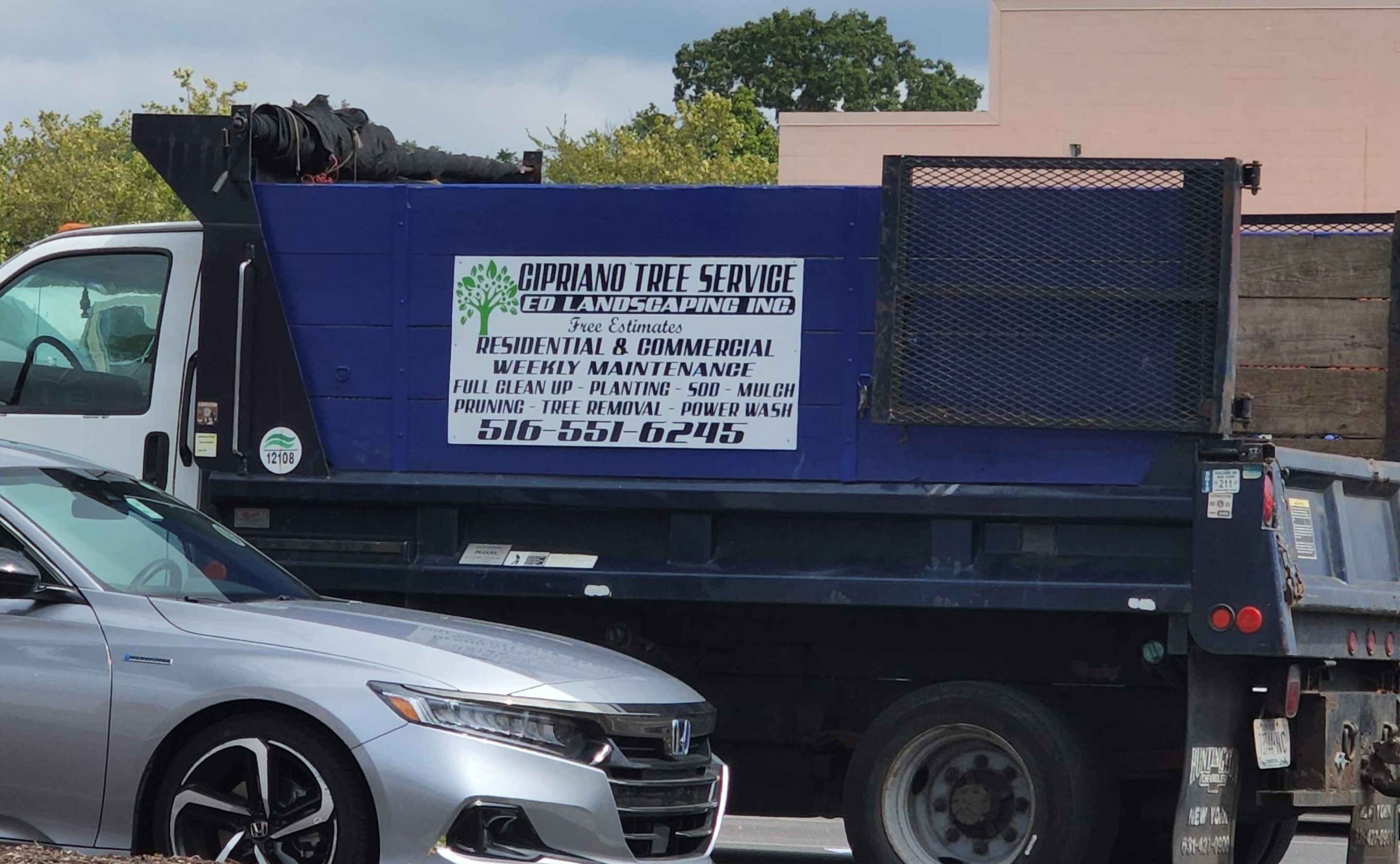 Cipriano Tree Service Ed Landscaping Inc logo