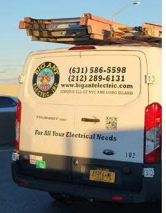 Big Ant Electric logo